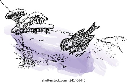 Hand drawn vector illustration with a bird on snow