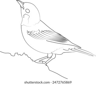 Hand drawn vector illustration of bird sitting on branch in leaves isolated on white background, collection of birds. sparrow, rook, Swallow.