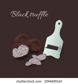 Hand drawn vector illustration of black truffles mushrooms, tuber fungus and slicer