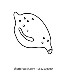 Hand drawn vector illustration in black ink on white background. A cute  lemon in doodle style. Isolated outline.