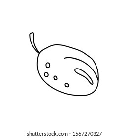 Hand drawn vector illustration in black ink on white background. A cute  plum  in doodle style. Isolated outline.