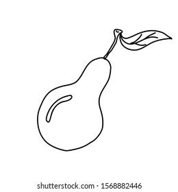Hand drawn vector illustration in black ink on white background. A cute  pear  in doodle style. Isolated outline.