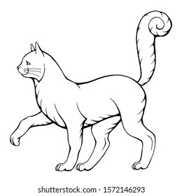  Hand drawn vector illustration of black and white walking cat isolated on white. For your heraldic and another design.