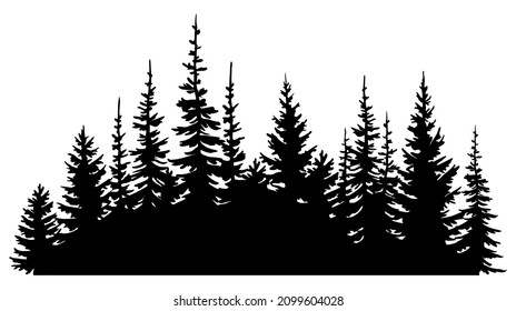 Ilustración vectorial dibujada a mano. Siluetas negras de abetos forestales. Objeto aislado sobre fondo blanco.