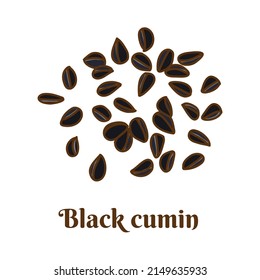 Hand drawn vector illustration of black cumin isolated on white background.
