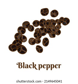 Hand drawn vector illustration of black pepper isolated on white background.