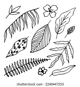 Handgezeichnete Vektorgrafik mit schwarzer Umrisslinie. Set von tropischen Blättern, Blumen, Dschungelpflanzen, Vegetation, Palmenblatt. Die Natur. Tintenskizze. Blumenelemente.