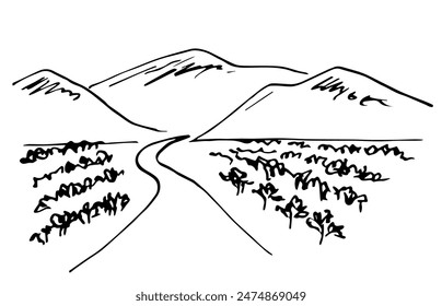 Hand drawn vector illustration with black outline. Farm fields, vineyard, road into the distance, mountains on the horizon. Nature and landscape. Sketch in ink.