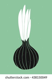 Hand drawn vector illustration of black and white onion on a green background