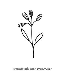 Dibujo manual de ilustraciones vectoriales de flor silvestre pradera floreciente. Elemento de diseño de logotipos para el concepto de primavera de verano