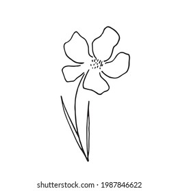 Ilustración vectorial dibujada a mano de flor floreciente. Elemento de diseño de logotipo para la colección de verano.