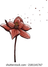 hand drawn vector illustration of a blooming red lotus flower with pollen flying in the wind