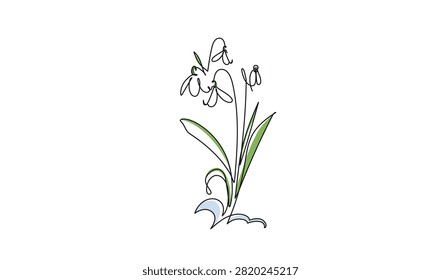 Hand drawn vector illustration of blooming snowdrops in line art style. Concept of spring renewal, hope and awakening, ideal for apparel prints or organic skincare branding.