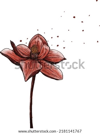 hand drawn vector illustration of a blooming red lotus flower with pollen flying in the wind