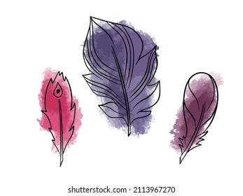 Hand drawn vector illustration bohemian, tribal, ethnic feathers. Colorful set