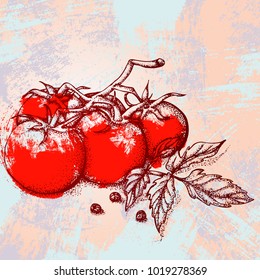 Hand drawn vector illustration. Branch of red tomatoes on a grunge background.