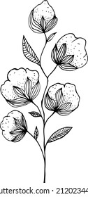 Hand drawn vector illustration of сotton branch. Cotton branch isolated on a white background