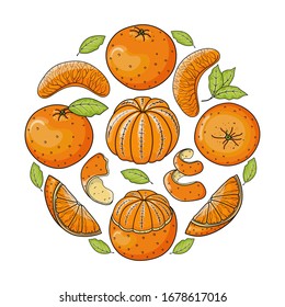 Hand drawn vector illustration with bright whole, peeled, cut and sliced oranges. Round concept vector drawing for card, banner, advertising or holiday poster.
