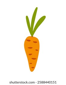 Hand drawn vector illustration of a bright orange carrot with green leaves vector illustration