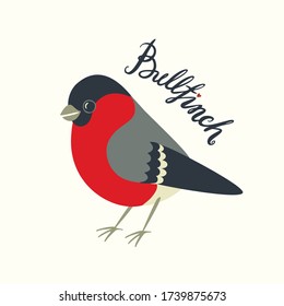 Hand drawn vector illustration of a bullfinch