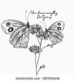 Hand drawn vector illustration with butterflies on daisy flowers. your dream is everything