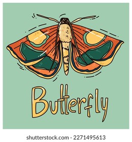 hand drawn vector illustration of butterfly. colorful art with text spring. cartoon style drawing for poster, printing or design