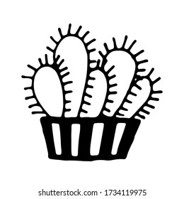 Hand drawn vector illustration of cactus in the pot. Doodle outline drawing isolated on white background. Exotic green houseplant. Home interior decoration. Black and white template for coloring