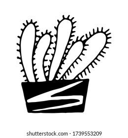 Hand drawn vector illustration of cactus in the pot. Doodle outline drawing isolated on white background. Exotic green houseplant. Home interior decoration. Black and white template for coloring