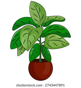 Hand drawn vector illustration of caladium plant with broad green leaves in a round brown pot. Indoor ornamental houseplant isolated on white background.