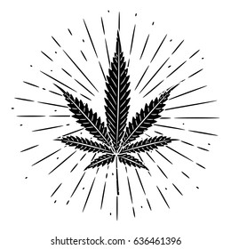 Hand drawn vector illustration with Cannabis leaf. Used for poster, banner, t-shirt print, bag print, badges and logo design