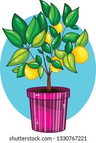 Hand drawn vector illustration of cartoon Lemon tree in ceramic pot.