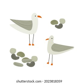 Hand drawn vector illustration of cartoon style seagulls. Isolated on white background