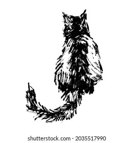 Hand drawn vector illustration with cat. Graphic vintage design.