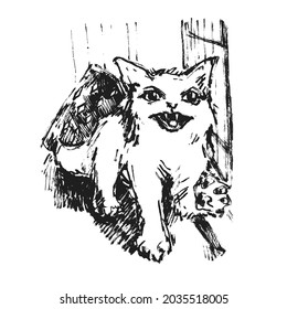 Ilustración vectorial dibujada a mano con gato. Diseño gráfico vintage.