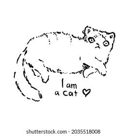 Hand drawn vector illustration with cat. Graphic vintage design.