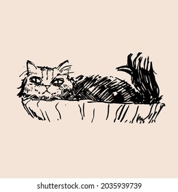 Ilustración vectorial dibujada a mano con gato. Diseño gráfico vintage.