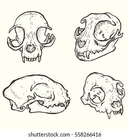 Hand drawn vector illustration of the cat skulls