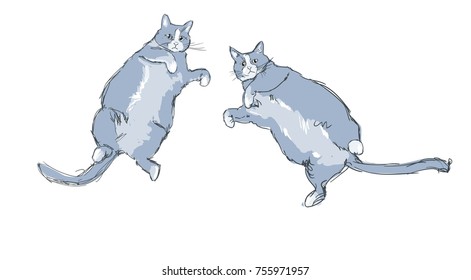 Hand Drawn Vector Illustration of cat vector illustration, print design cat, print on t-shirt, sketch cat, kitten