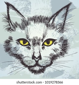 Hand drawn vector illustration. Cat's face with yellow-green eyes on a grunge background.