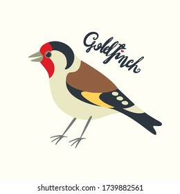 Ilustración vectorial dibujada a mano de un chafffinch