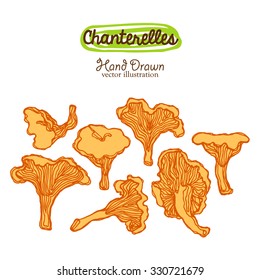 Hand drawn vector illustration of chanterelles, mushrooms. Elements for design of posters, greeting cards, textiles, vegetarian menu, wrapping, invitations, recipes, flyers.