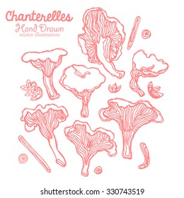 Hand drawn vector illustration of chanterelles, mushrooms. Elements for design of posters, greeting cards, textiles, vegetarian menu, wrapping, invitations, recipes, flyers.