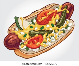 Hand drawn vector illustration of a Chicago style Hot Dog with yellow mustard, chopped white onions, wedged fresh tomatoes, pickle spear and sport peppers.