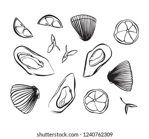 Hand drawn vector illustration of clam as seafood. Shellfish with lemon and herbs. Black isolated on white background.