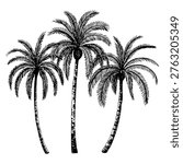 Hand drawn vector illustration of coconut palm trees isolated on white background ink sketch in vintage style tropical design