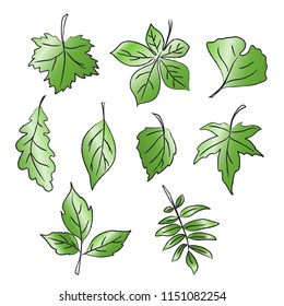 Hand drawn vector illustration with collection of green leaves. EPS10