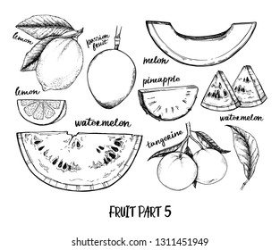 Hand drawn vector illustration - Collection of tropical and exotic Fruits. Healthy food elements. Pear, watermelon, pineapple, lemon etc. Perfect for menu, packing, advertising, cooking book
