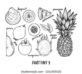 Hand drawn vector illustration - Collection of tropical and exotic Fruits. Healthy food elements. Pineapple, watermelon, pear, mangosteen etc. Perfect for menu, packing, advertising, cooking book
