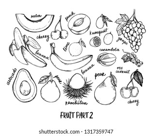 Hand drawn vector illustration - Collection of tropical and exotic Fruits. Healthy food elements. Melon, grape, banana, lime, cherry etc. Perfect for menu, packing, advertising, cooking book
