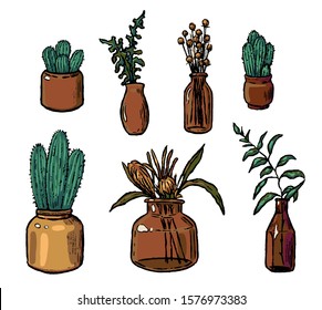 Hand drawn vector illustration. Collection of varied vases, bottles, and jars of flowers and plants. Vintage botanical set. Decorative floral colorful elements isolated in white. Details for design.